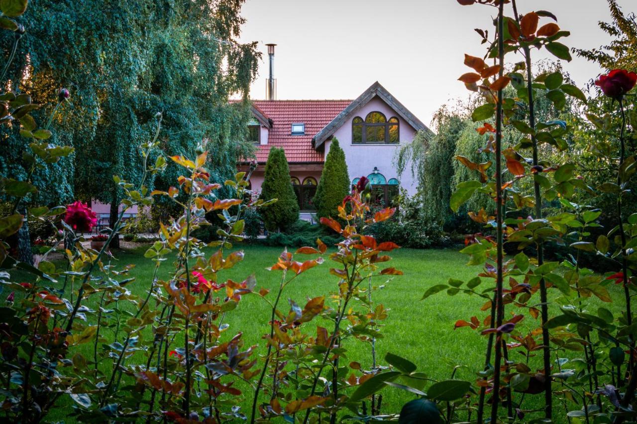 Bed and Breakfast Daiconi Boutique House Minis Esterno foto